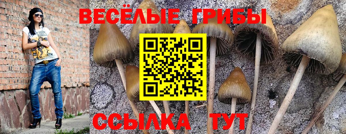 Псилоцибиновые грибы мухоморы  Вход с VPN  Городец  Псилоцибиновые грибы Cubensis 