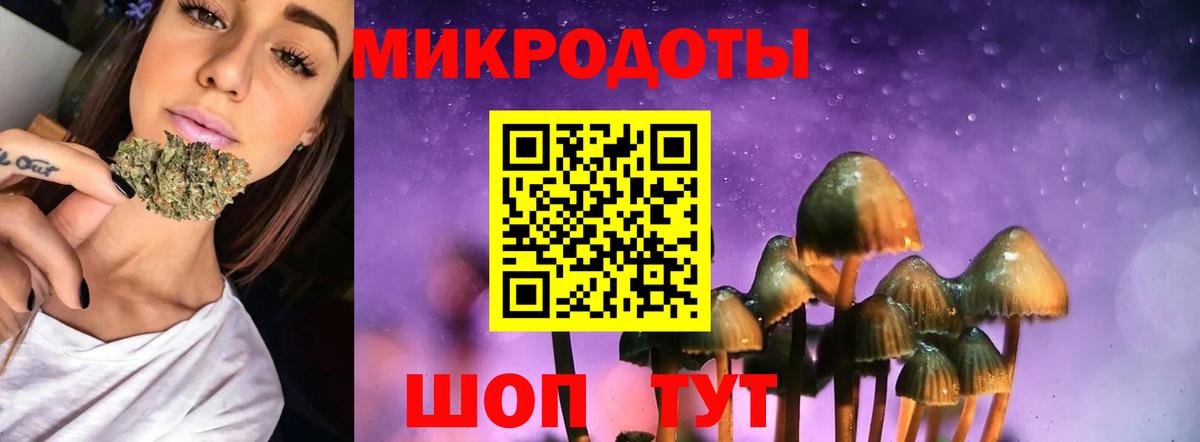 Псилоцибиновые грибы Psilocybine cubensis Городец